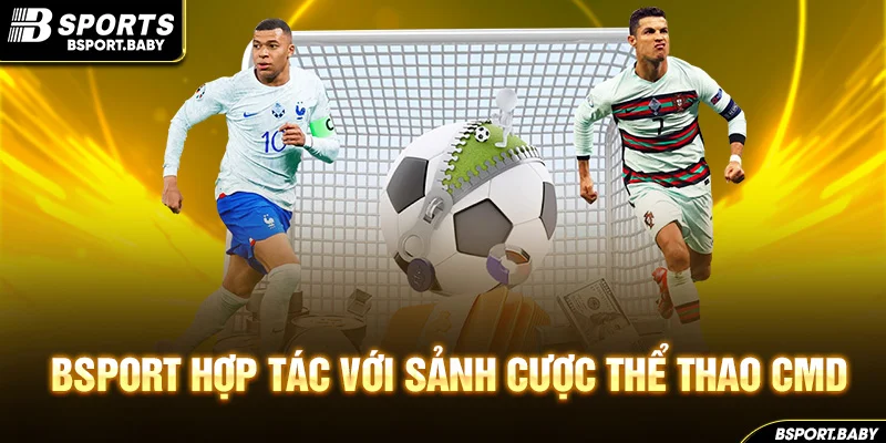 Bsport hợp tác với sảnh cược thể thao CMD