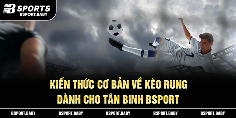 Kiến thức cơ bản về kèo rung dành cho tân binh Bsport 