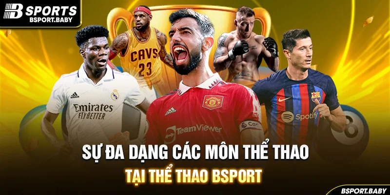 Sự đa dạng các môn thể thao tại thể thao Bsport