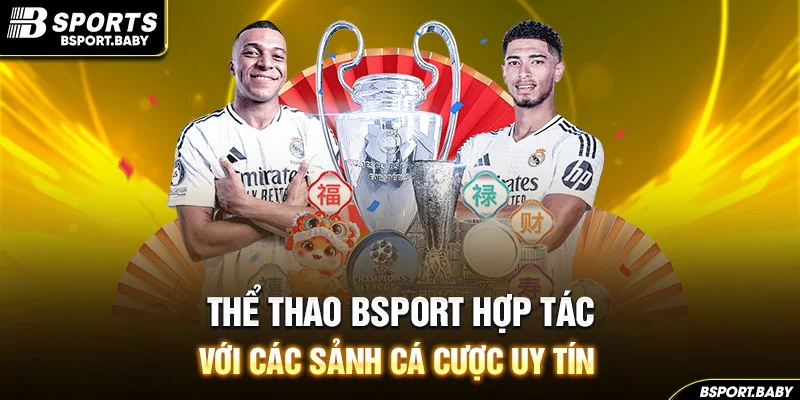 Thể thao Bsport hợp tác với các sảnh cá cược uy tín